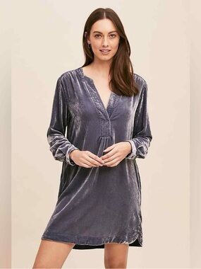 Anthroplogie Women's Crushed Velvet Tunic Dress - Slate Blue Small